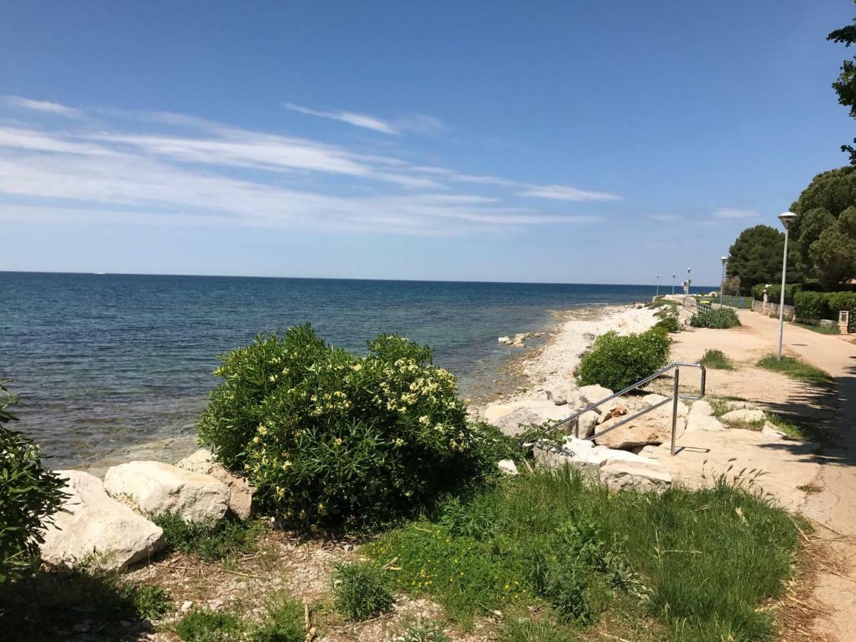 Todor Seaside Apartments Lovrečica Dış mekan fotoğraf